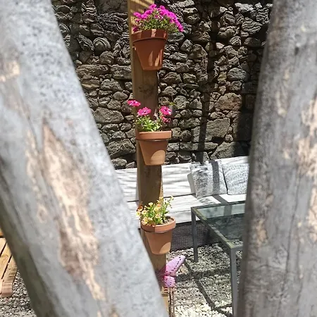 El Naturalista - Sitios De Aravalle Casa rural