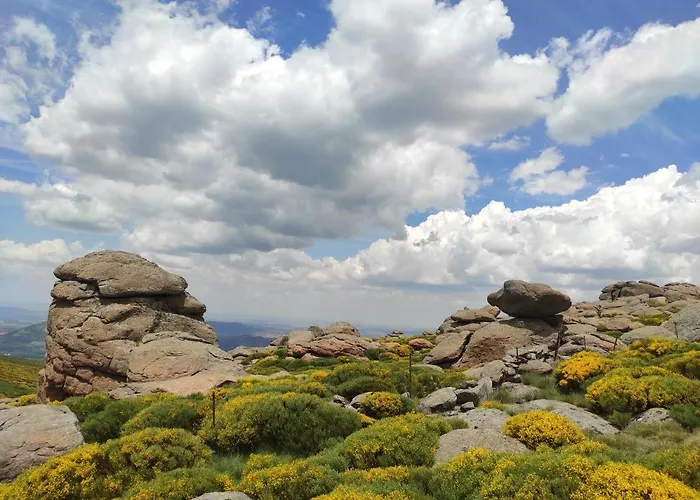 El Naturalista - Sitios De Aravalle Casas del Abad