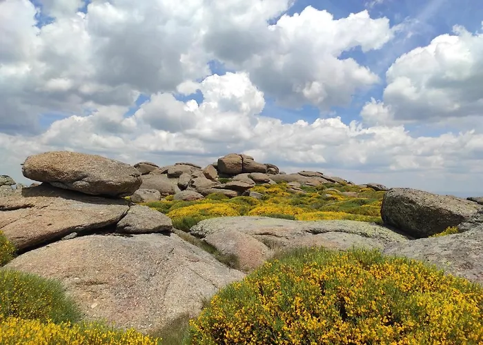 컨트리하우스 El Naturalista - Sitios De Aravalle Casas del Abad